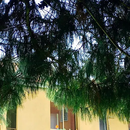 Lejlighed Pop House